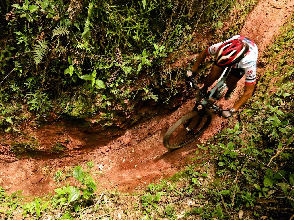 zoom bike park